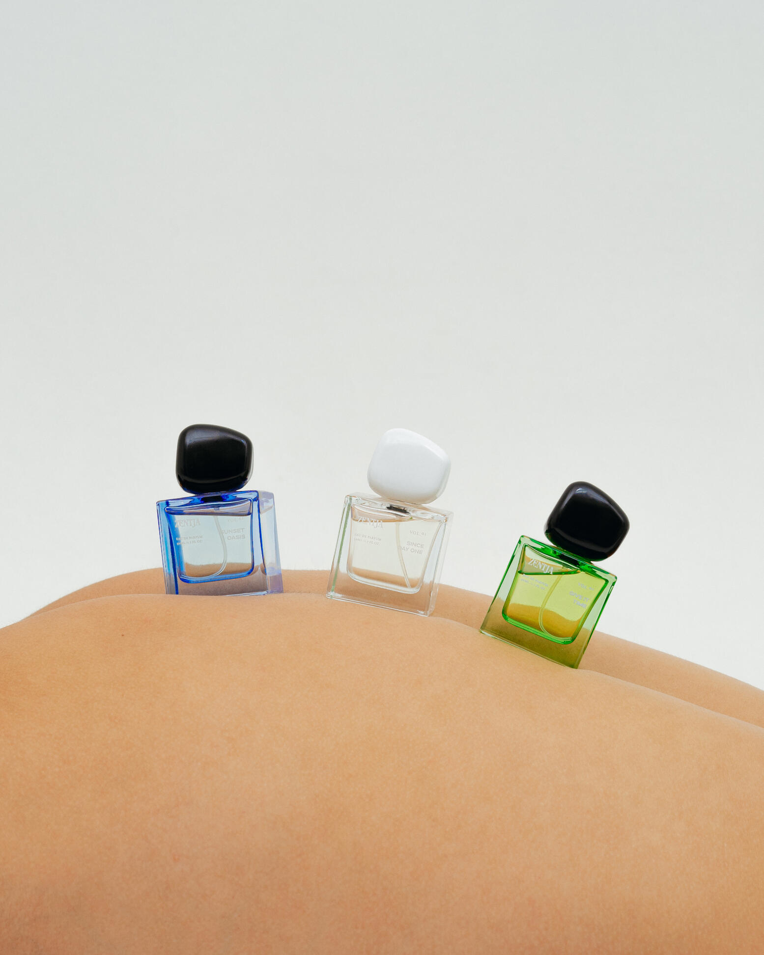 zentja official logo